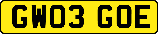 GW03GOE