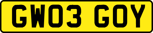 GW03GOY