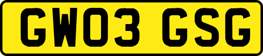 GW03GSG