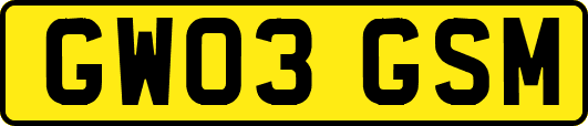 GW03GSM