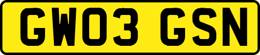 GW03GSN