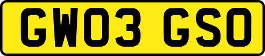 GW03GSO