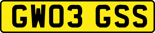 GW03GSS