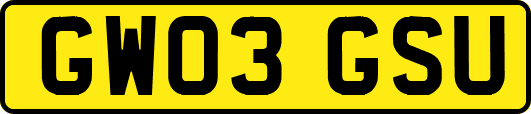 GW03GSU