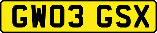 GW03GSX