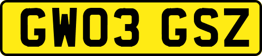 GW03GSZ