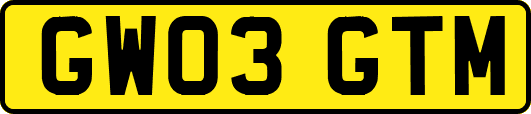 GW03GTM