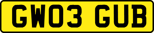GW03GUB