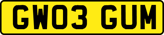 GW03GUM