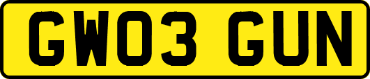 GW03GUN