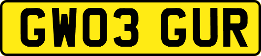 GW03GUR