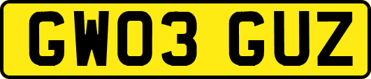 GW03GUZ