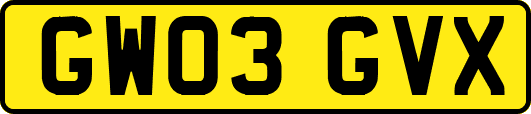 GW03GVX