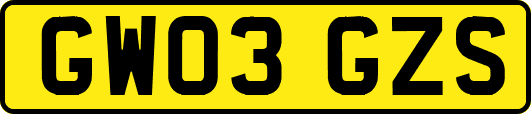 GW03GZS