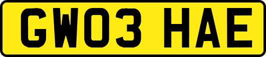 GW03HAE