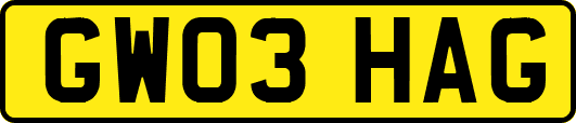 GW03HAG