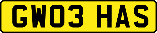 GW03HAS