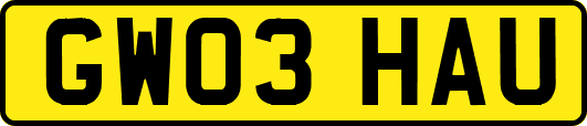 GW03HAU