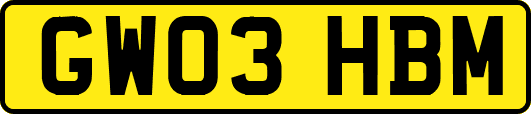 GW03HBM