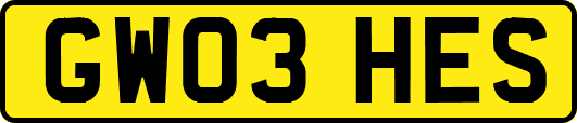 GW03HES