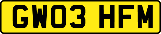 GW03HFM