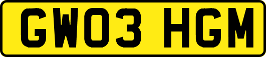 GW03HGM
