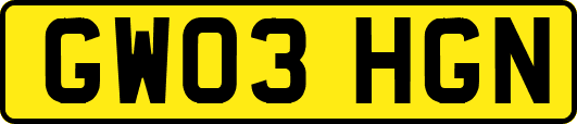 GW03HGN