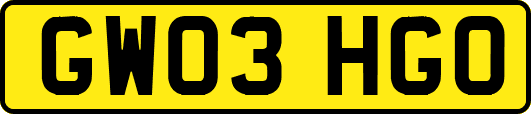 GW03HGO