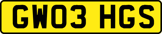GW03HGS