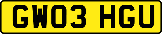 GW03HGU