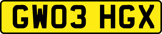 GW03HGX