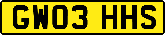 GW03HHS