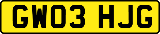 GW03HJG