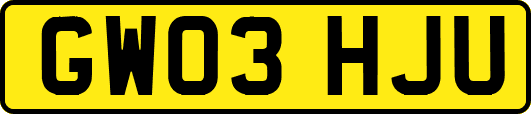 GW03HJU