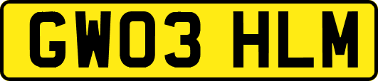 GW03HLM