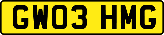 GW03HMG