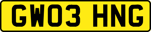 GW03HNG