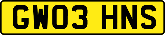 GW03HNS