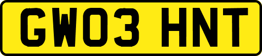 GW03HNT