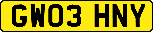 GW03HNY