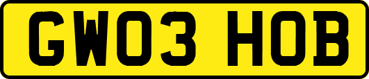 GW03HOB