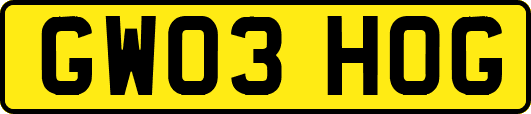 GW03HOG