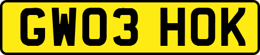 GW03HOK