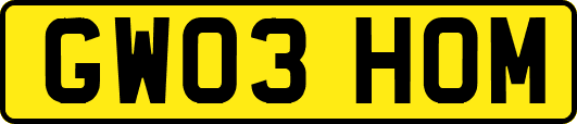 GW03HOM