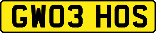 GW03HOS