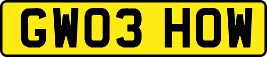 GW03HOW