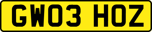 GW03HOZ
