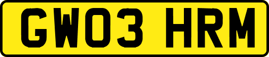 GW03HRM