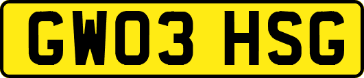 GW03HSG