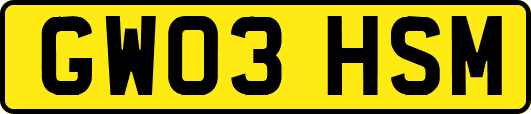 GW03HSM